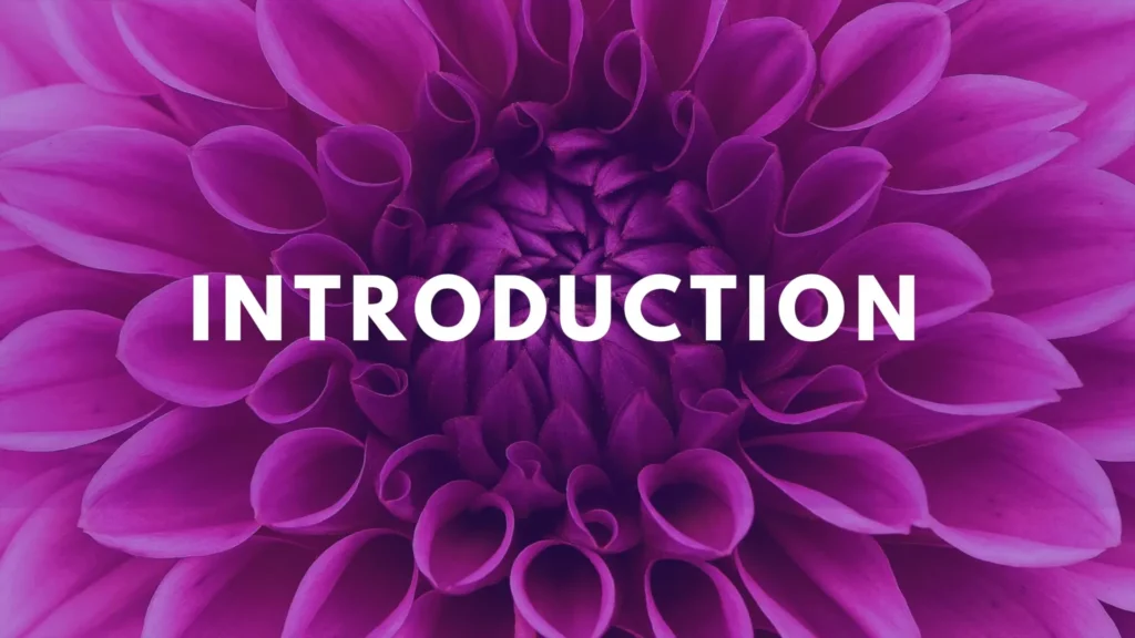 Slide titled “Introduction” for C4DP’s Your Voice, My Voice curriculum, displayed over a purple flower background.